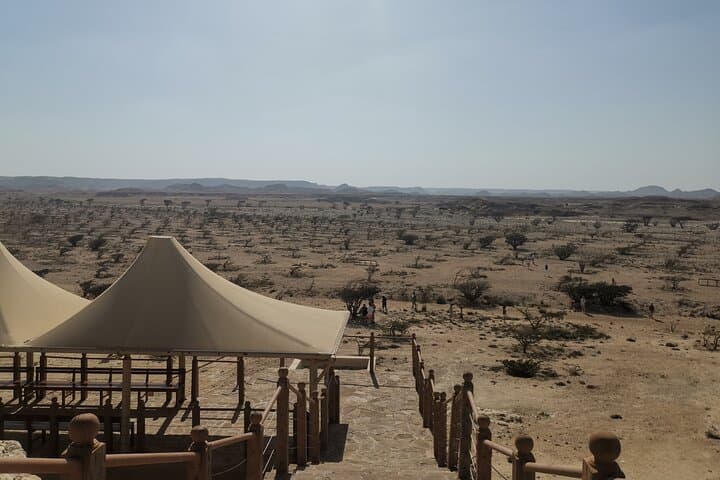 Exploring Oman's Frankincense Trail: Al Baleed, Khor Rori, Wadi Dawkha & Ubar photo 3