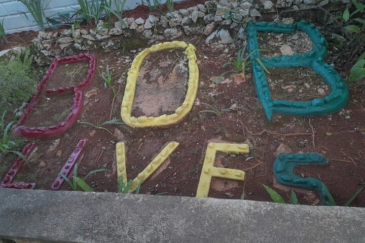 Bob Marley Nine Mile and Dunn's River Falls Private Tour from Montego Bay photo 2