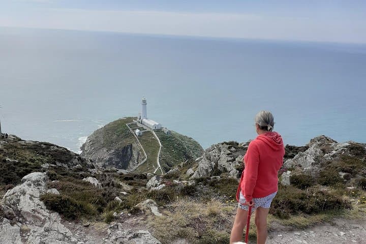 Wild West Wales: South Stack Lighthouse and Holyhead Mountain Private Hike photo 6