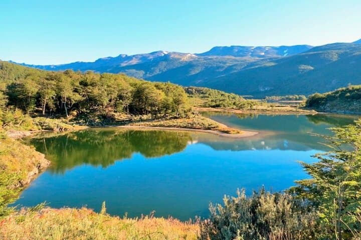Full-Day Tierra del Fuego Explorer: Ushuaia to Martial Glacier & Lapataia photo 4