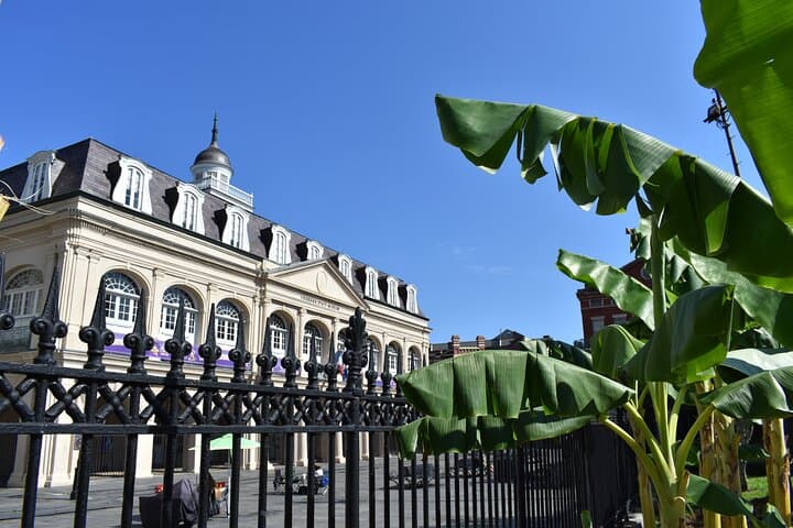 Inside Jackson Square: 45-Minute Walking Tour of New Orleans' Historic Core photo 3