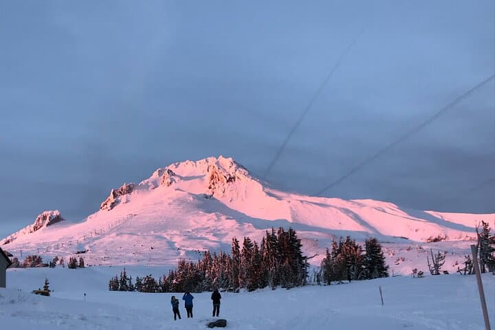 Mt Hood, Waterfalls & Wine Tour from Portland — Multnomah Falls and Columbia Gorge photo 4