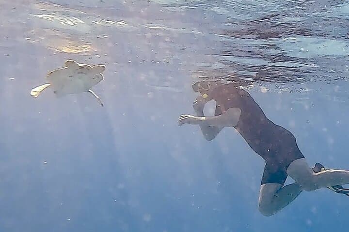 Snorkel with Turtles & See Flamingos in Bonaire — Te Amo Beach Guided Trip photo 3
