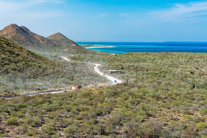 Cabo Pulmo Guided Scuba: Dive the Ancient Coral Reef photo 6