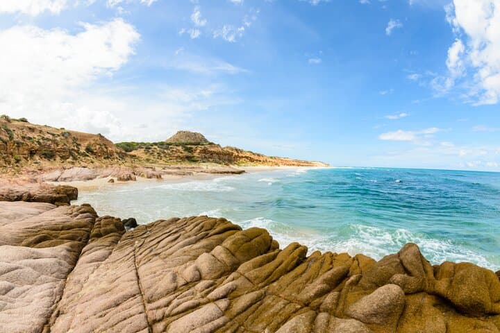 Snorkel Cabo Pulmo: Explore Bahia Pulmo’s 20,000-Year-Old Coral Reef photo 4