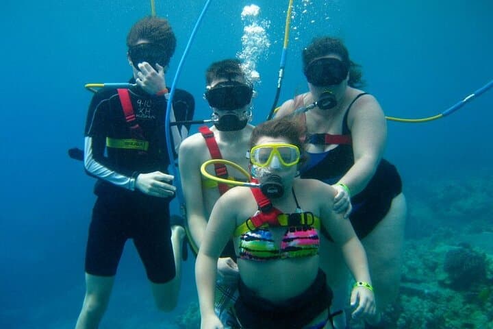 Cabo Pulmo Guided Scuba: Dive the Ancient Coral Reef photo 3
