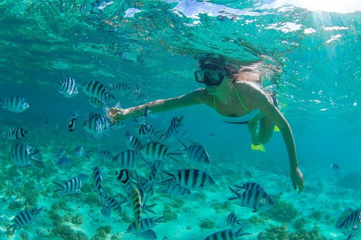 Snorkel Cabo Pulmo: Explore Bahia Pulmo’s 20,000-Year-Old Coral Reef