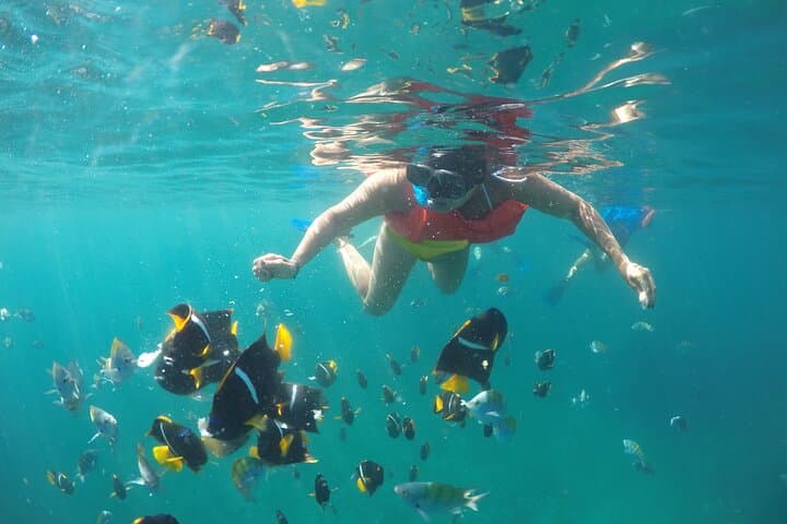 Snorkel Cabo Pulmo: Explore Bahia Pulmo’s 20,000-Year-Old Coral Reef photo 2