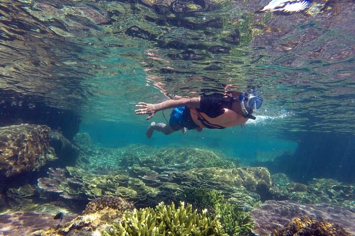 Snorkel Cabo Pulmo: Explore Bahia Pulmo’s 20,000-Year-Old Coral Reef photo 6