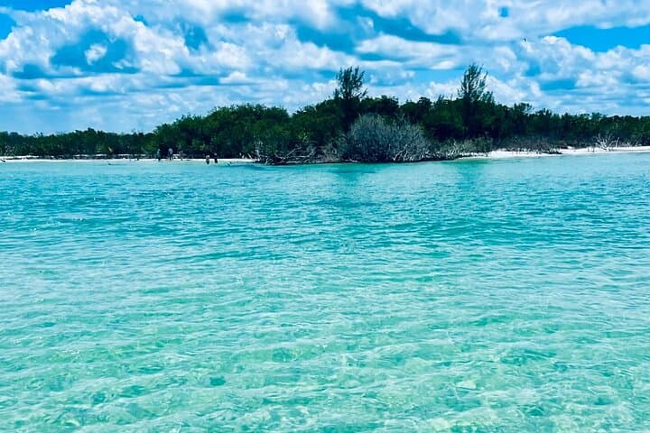 Shell Key & Johns Pass Sandbar Pontoon Cruise — 4-Hour Captain-Led Excursion