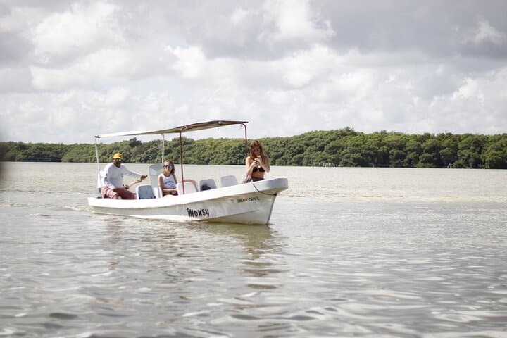 Rio Lagartos, Las Coloradas & Cenote: Day Tour from Valladolid photo 1