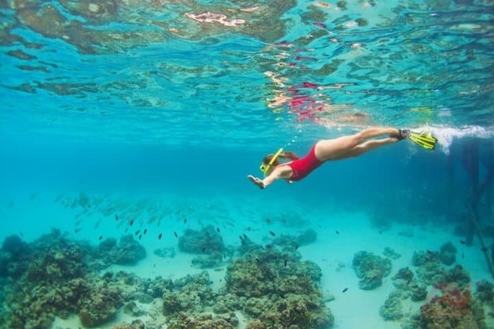 Nha Trang Bay Half-Day Snorkeling: Coral Reefs & Lunch on the Water