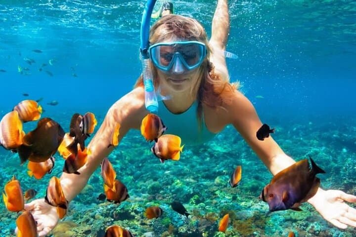 Nha Trang Bay Half-Day Snorkeling: Coral Reefs & Lunch on the Water photo 3