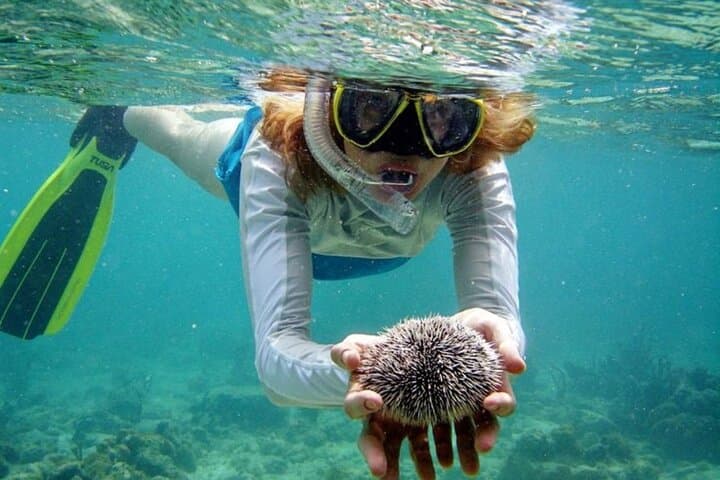 Nha Trang Bay Half-Day Snorkeling: Coral Reefs & Lunch on the Water photo 5