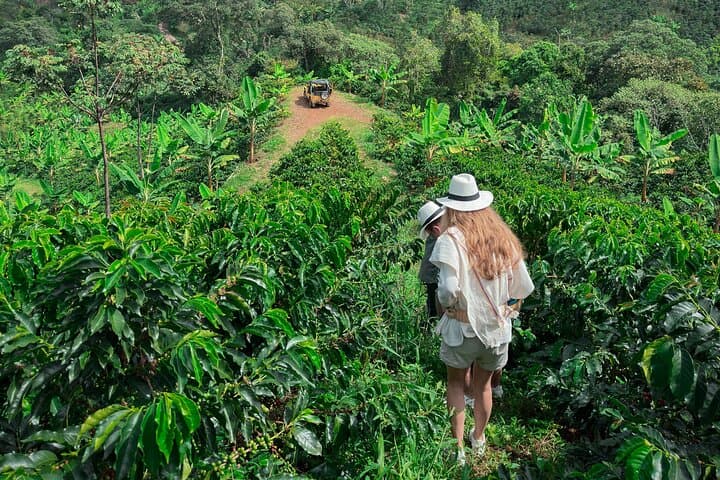 Day Trip to Jardín: Waterfalls, Coffee Farms & Willy's Jeep Adventure photo 2