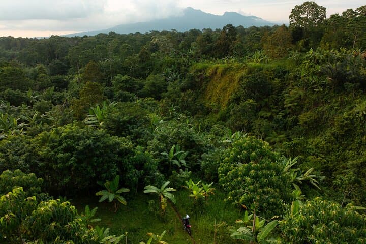 Lombok Off-Road Dirt Biking in Sesaot: Jungle Trails, Waterfall Swims & Blue Lake photo 3