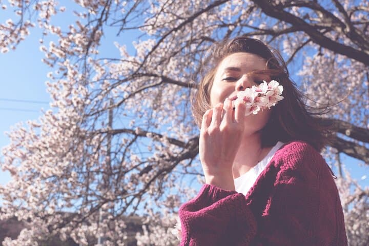 Asakusa Cherry Blossom Walk & Senso-ji History Tour — Sumida River Stroll