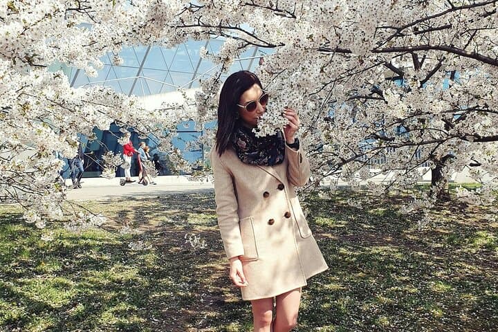 Asakusa Cherry Blossom Walk & Senso-ji History Tour — Sumida River Stroll photo 2