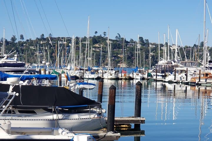 Muir Woods & Sausalito: Golden Gate Bridge Tour with Ferry to Fisherman's Wharf photo 2