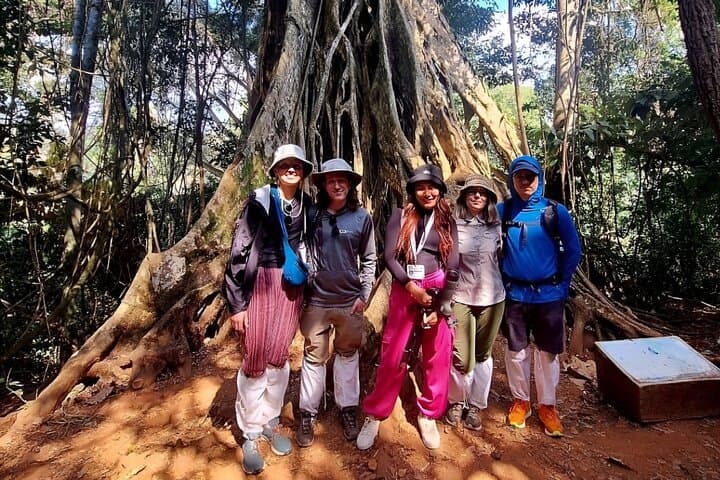 Khao Yai Nature Trails & Haew Suwat Waterfall Day Tour from Bangkok photo 3