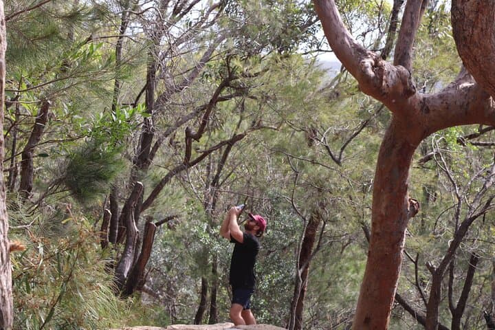 Port Stephens Whale Watching & Tomaree Summit Day Tour from Newcastle photo 6