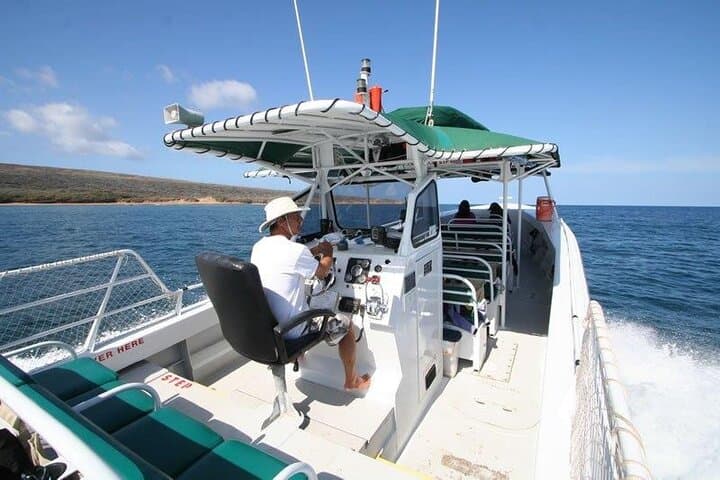 Private Whale Watching Charter from Kāʻanapali — Humpbacks & Dolphin Search photo 5