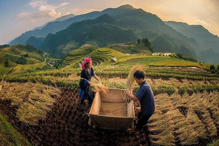 Sapa & Ha Long Bay 4-Day Trek and Cruise from Hanoi photo 4