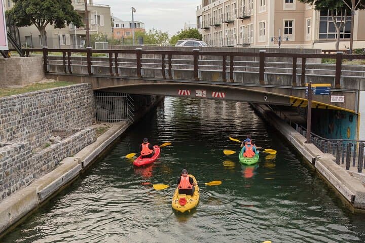Guided Kayak Tour Through Battery Park Canals — V&A Waterfront, Cape Town photo 4