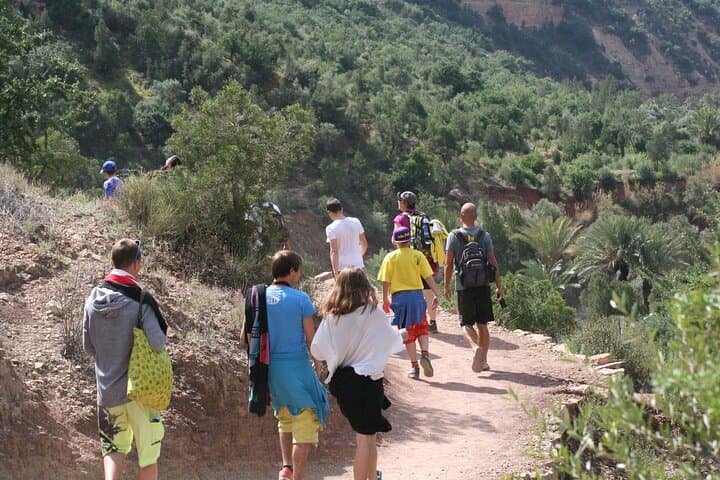 Paradise Valley Half-Day Excursion from Agadir or Taghazout — Natural Pools & Cliff Jumps photo 4