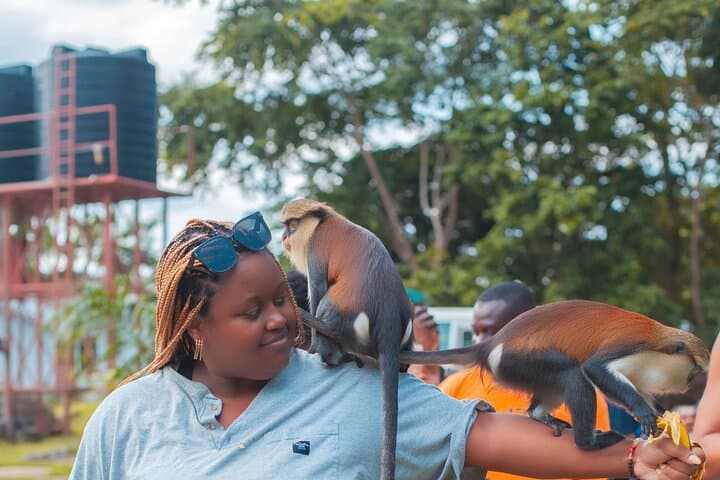Volta Hiking Adventure: 3-Day Trek to Wli Falls, Mount Afadjato & Local Culture photo 1
