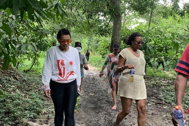 Volta Hiking Adventure: 3-Day Trek to Wli Falls, Mount Afadjato & Local Culture photo 3