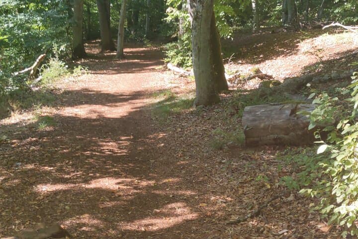 Hiking the Terres Rouges: Red-Earth Trails & Mining Heritage in Luxembourg photo 4