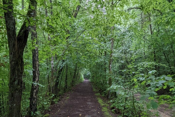 Hiking the Terres Rouges: Red-Earth Trails & Mining Heritage in Luxembourg