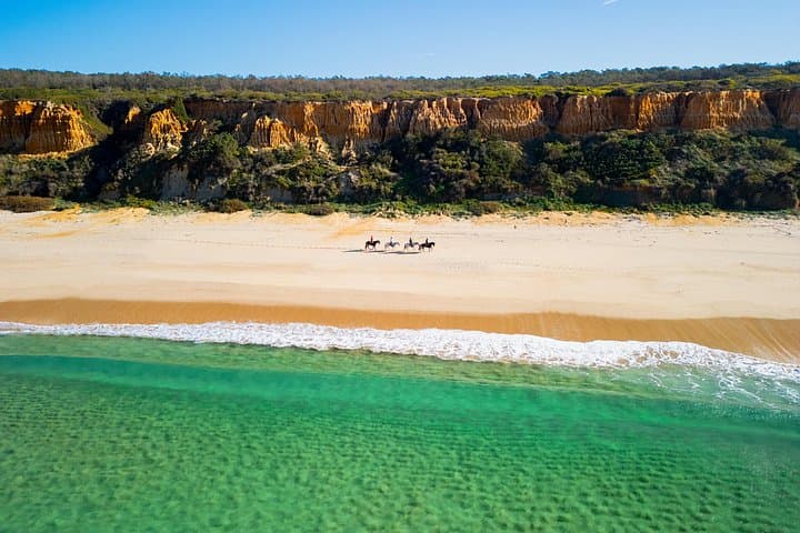 Beach Horseback Ride with Portuguese Lunch on the Cascais Coast
