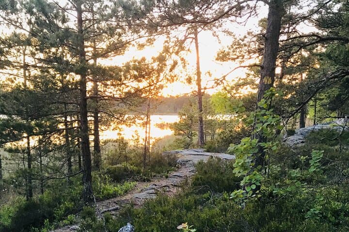 Midnight Sun Hike & Campfire Near Stockholm: Evening Forest Walk with Vegan Fika photo 3