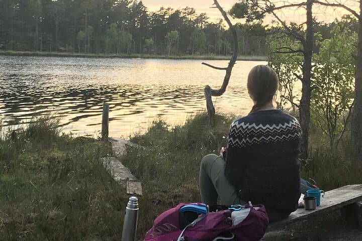 Midnight Sun Hike & Campfire Near Stockholm: Evening Forest Walk with Vegan Fika photo 1