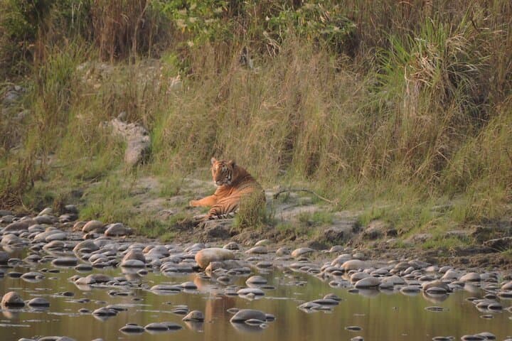 Bardia Jungle Safari: 5 Nights of Walking, Jeep Safaris & Karnali Rafting photo 4