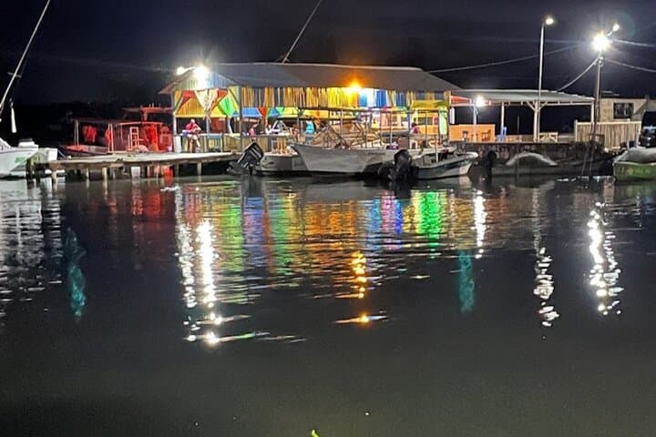 Night Glows: Private Luminous Lagoon Tour from Montego Bay photo 3