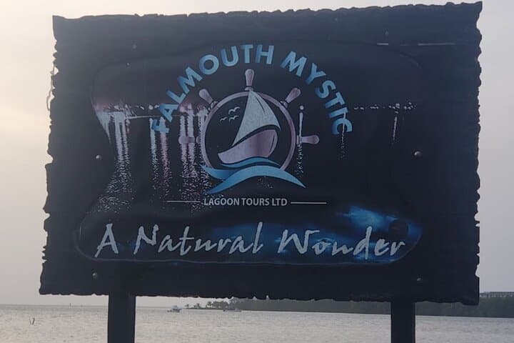 Night Glows: Private Luminous Lagoon Tour from Montego Bay photo 4