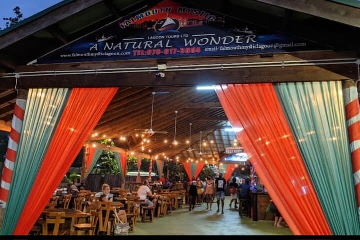 Night Glows: Private Luminous Lagoon Tour from Montego Bay photo 5