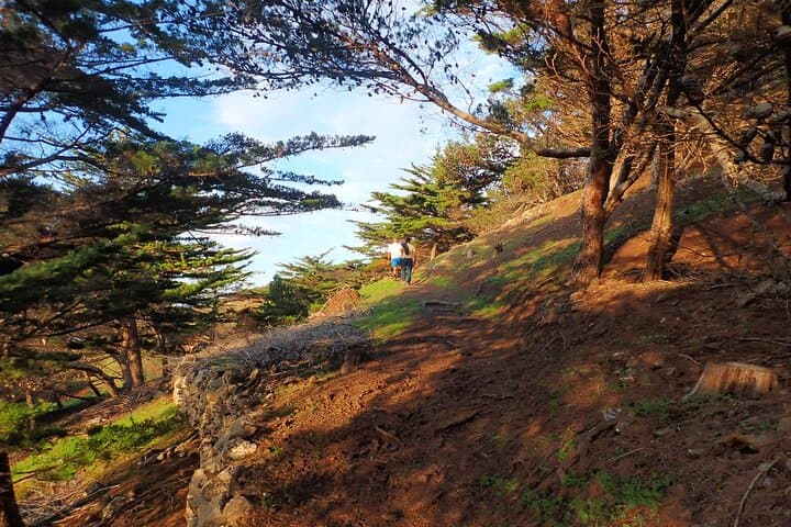 Pico do Facho Panoramic Trail: 360° Porto Santo Hike in 2 Hours