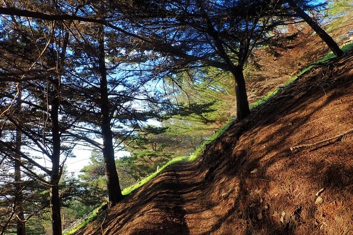 Pico do Facho Panoramic Trail: 360° Porto Santo Hike in 2 Hours photo 2