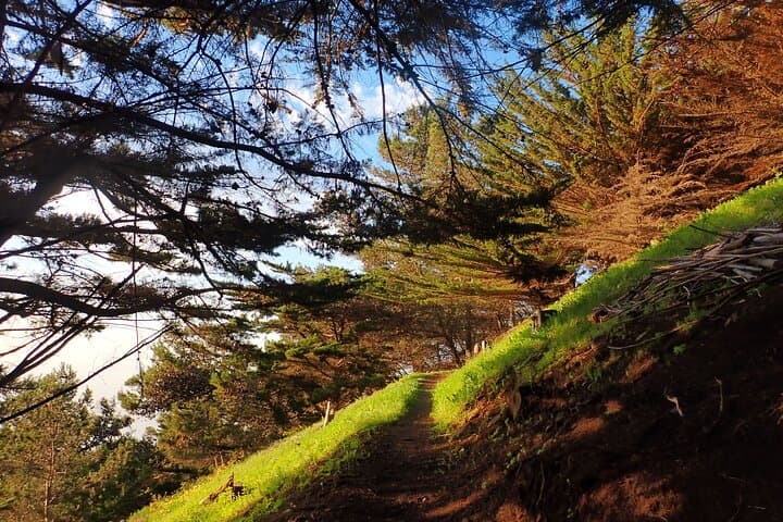 Pico do Facho Panoramic Trail: 360° Porto Santo Hike in 2 Hours photo 3