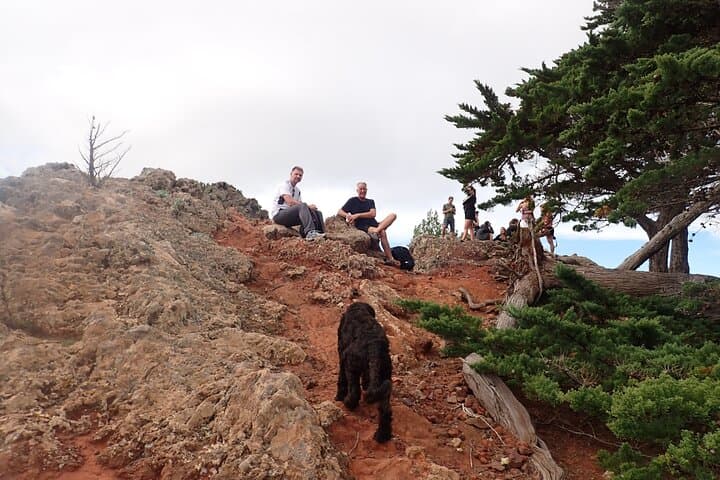 Pico Branco & Terra Chã Hike — Porto Santo's 360° Island Walk photo 6