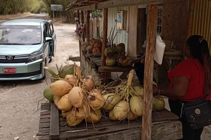 Private Joy Spence Appleton Experience from Montego Bay — Appleton Estate Rum Tour photo 4
