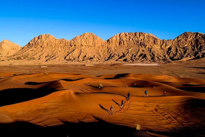 Hatta Morning Desert Safari & Honey Bee Garden — 4x4 Adventure from Dubai