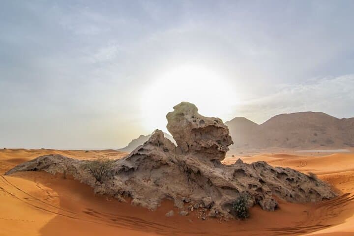 Hatta Morning Desert Safari & Honey Bee Garden — 4x4 Adventure from Dubai photo 2