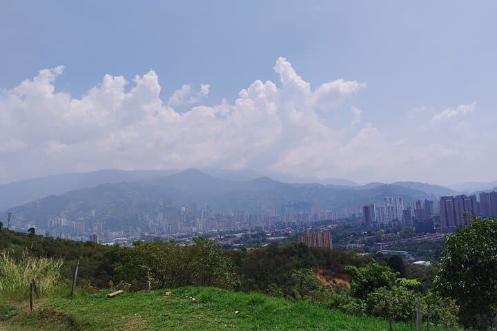 Hands-On Coffee Farm Tour Near El Poblado — Medellín’s Organic Coffee Experience photo 1