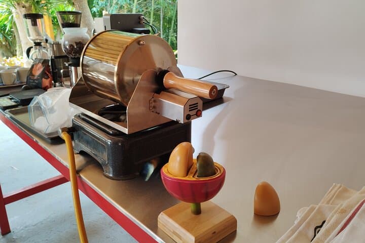 Hands-On Coffee Farm Tour Near El Poblado — Medellín’s Organic Coffee Experience photo 3