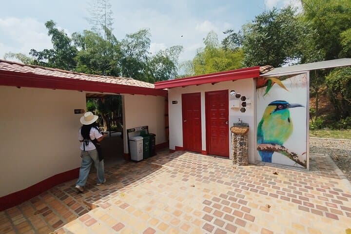 Hands-On Coffee Farm Tour Near El Poblado — Medellín’s Organic Coffee Experience photo 4